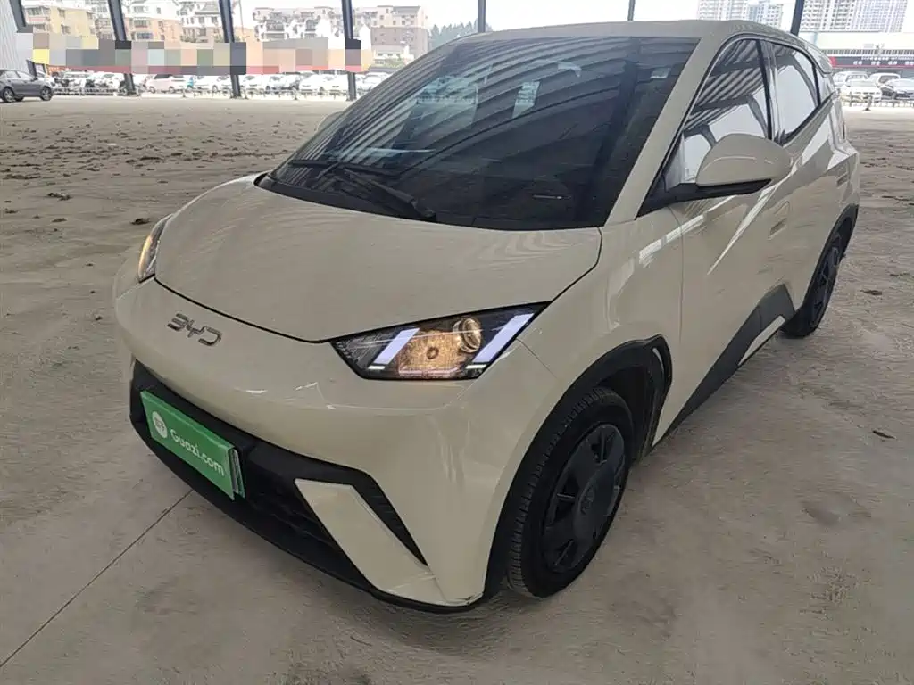 BYD Seagull 2024