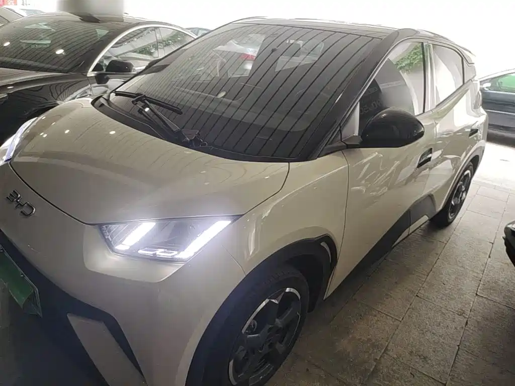 BYD Seagull 2024