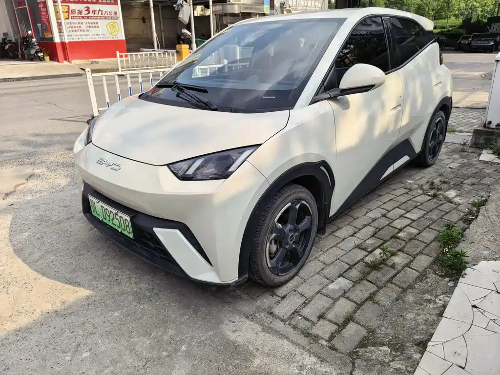 BYD Seagull 2023