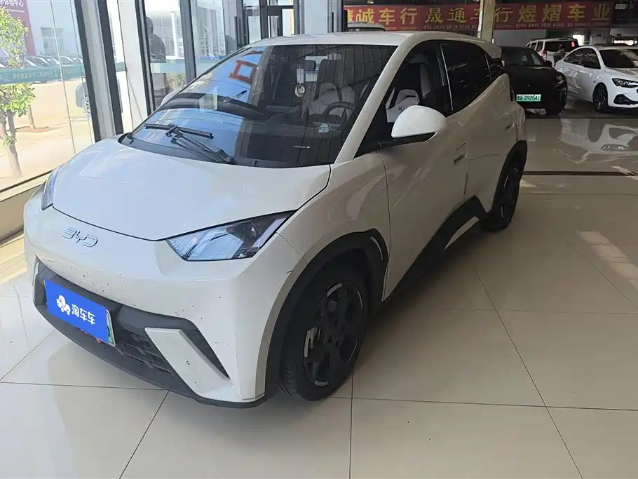 BYD Seagull 2024