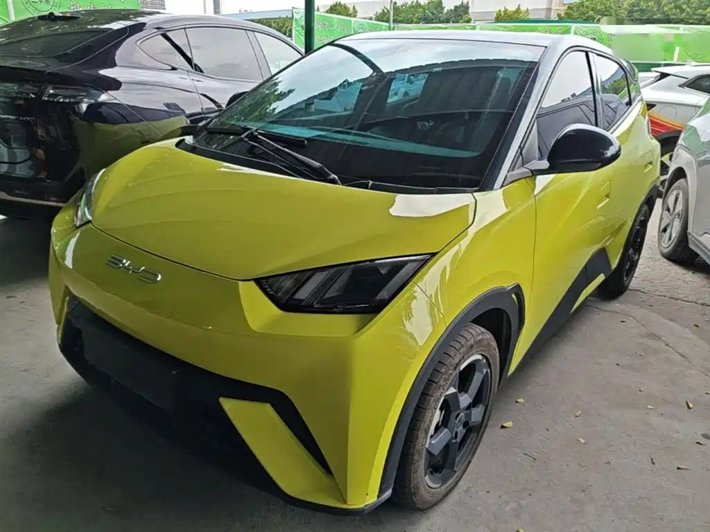 BYD Seagull 2024