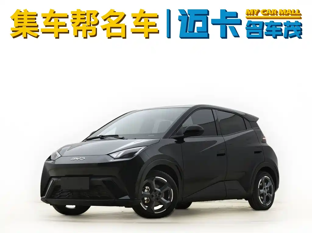 BYD Seagull 2024