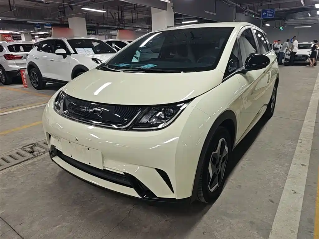 BYD Dolphin 2022