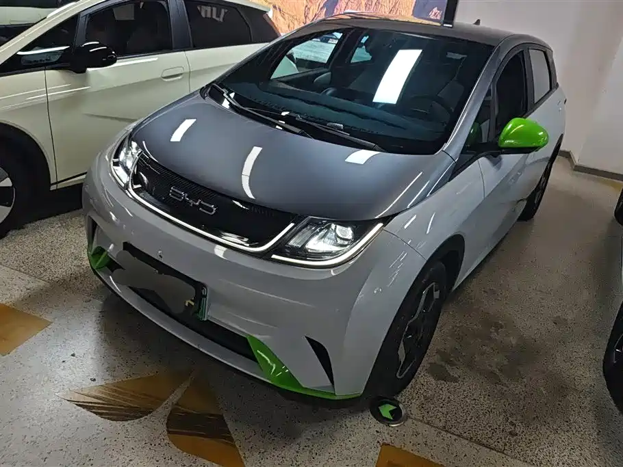 BYD Dolphin 2022