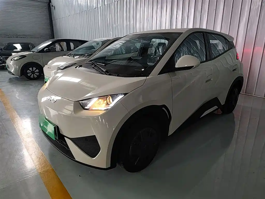 BYD Seagull 2026