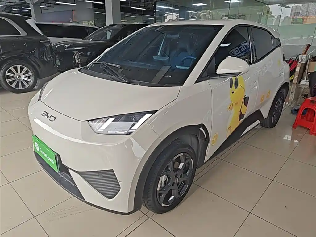 BYD Seagull 2025