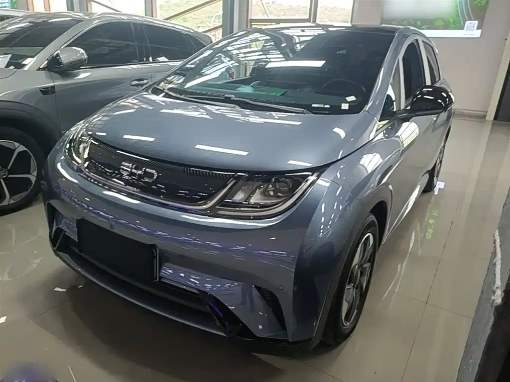 BYD Dolphin 2024