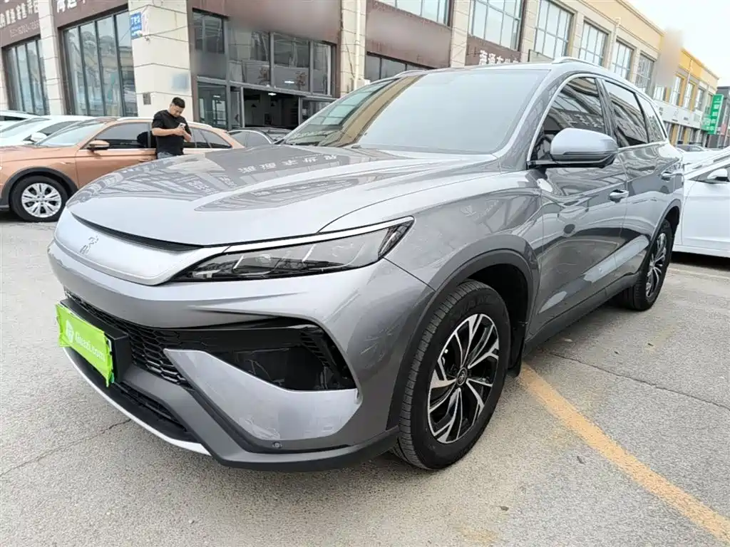 BYD Pro New Energy 2024