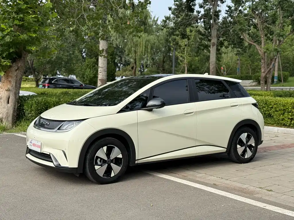 BYD Dolphin 2023