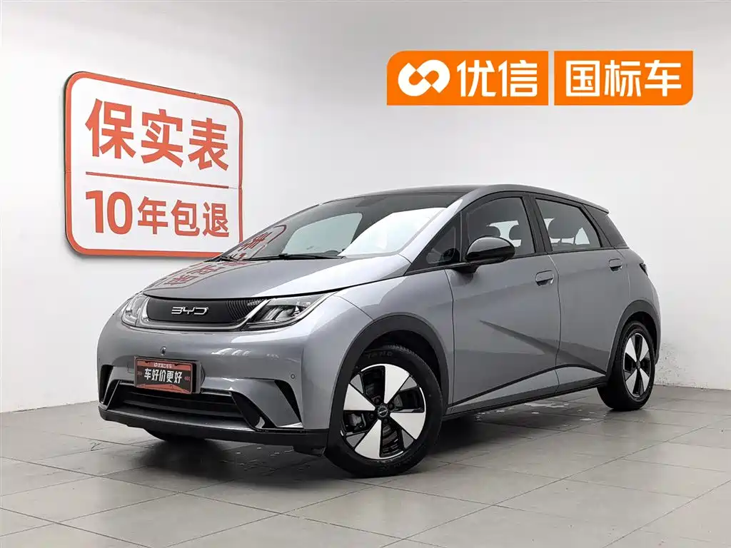 BYD Dolphin 2024