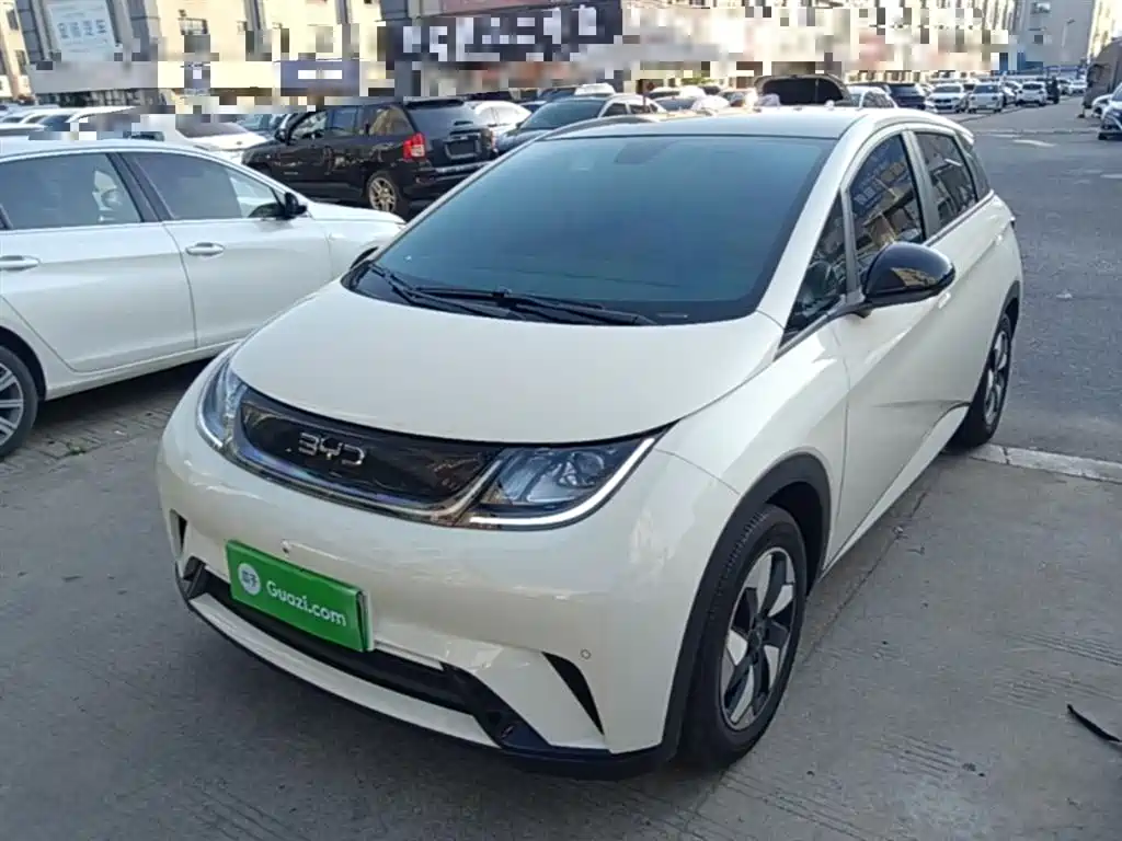 BYD Dolphin 2024