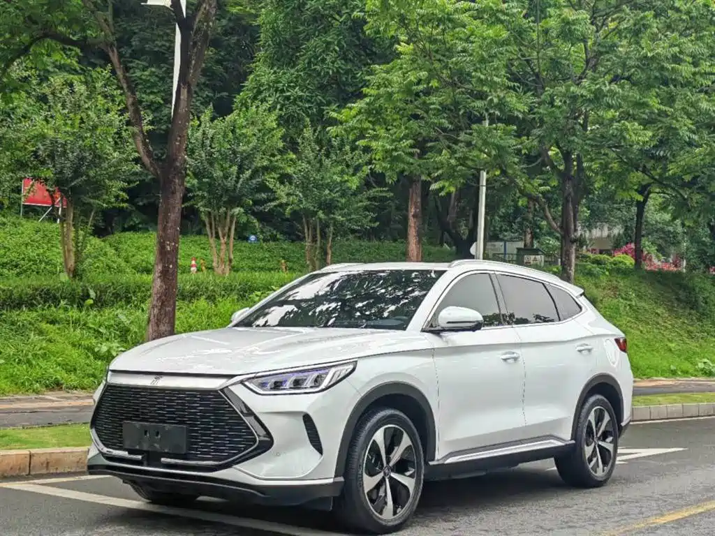 BYD PLUS New Energy 2022
