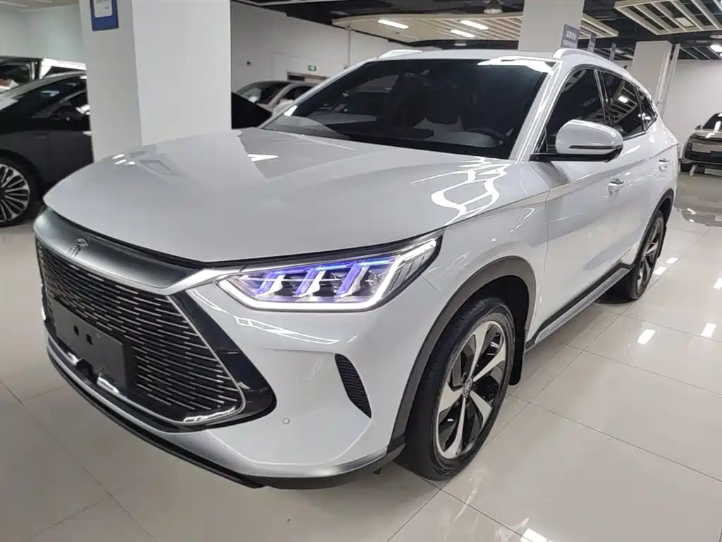 BYD PLUS New Energy 2021