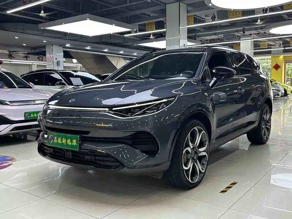 Denza Denza X 2020