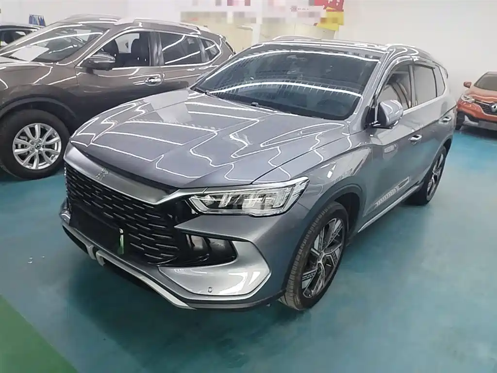 BYD Pro New Energy 2024