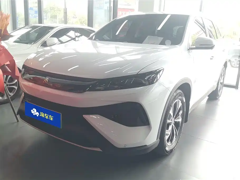 BYD Pro New Energy 2025