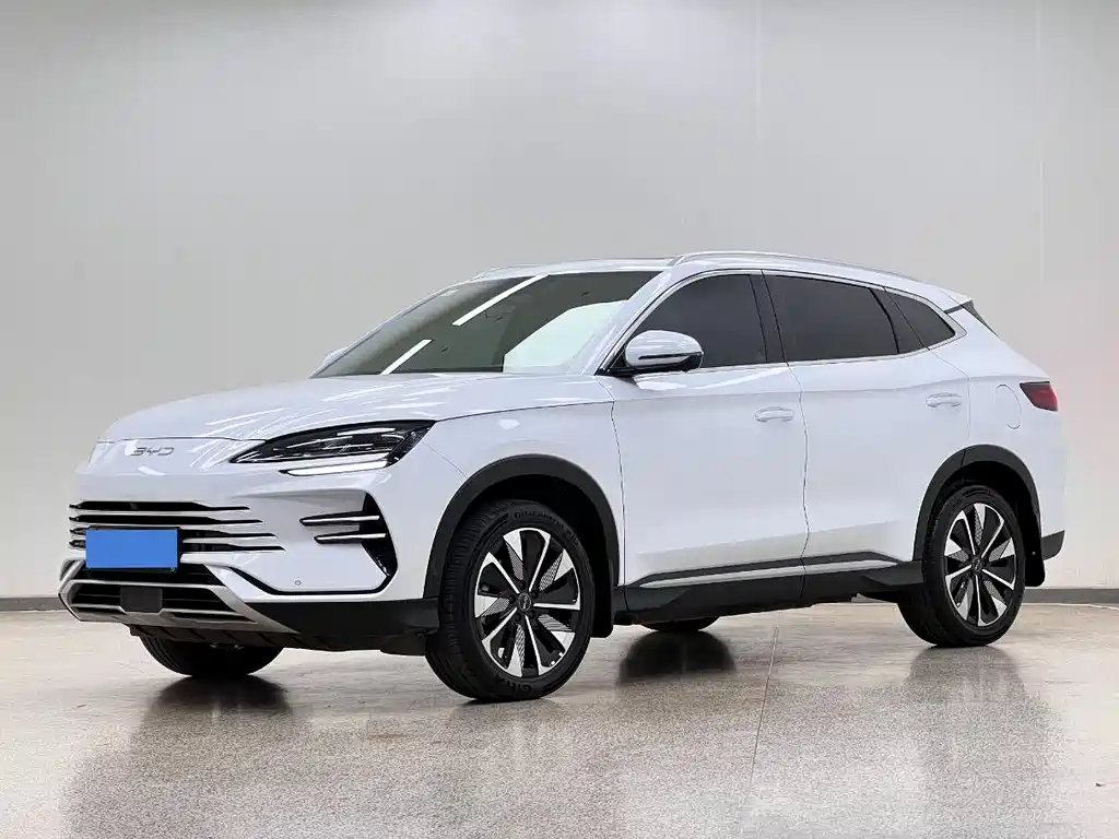BYD PLUS New Energy 2024