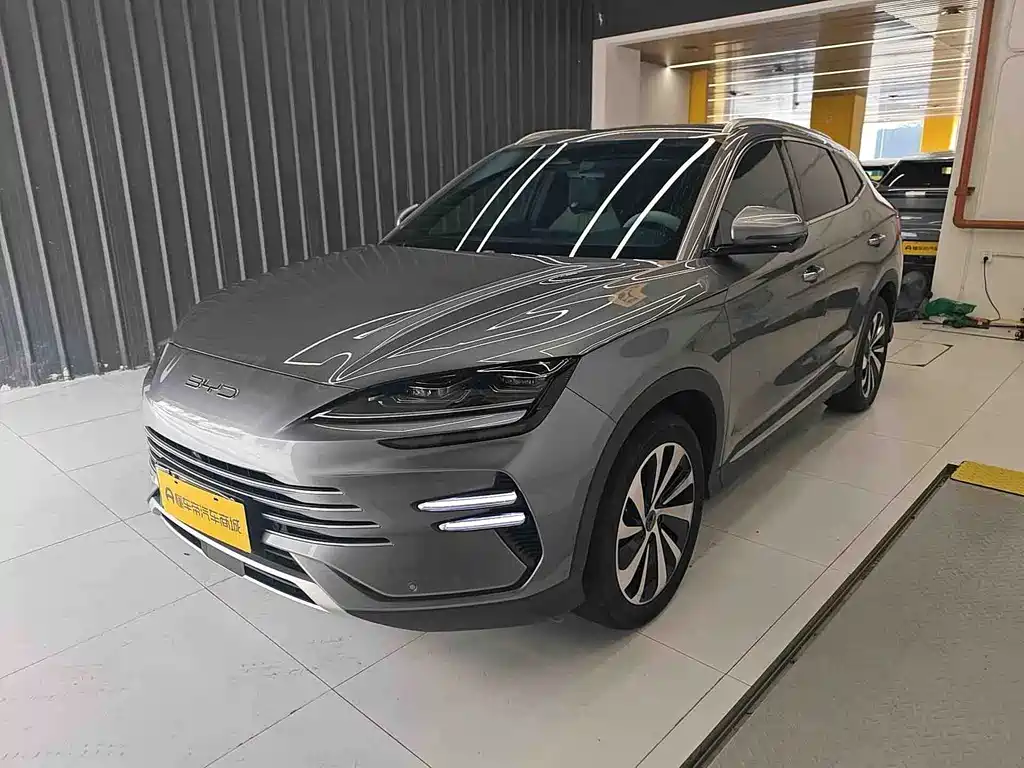 BYD PLUS New Energy 2024