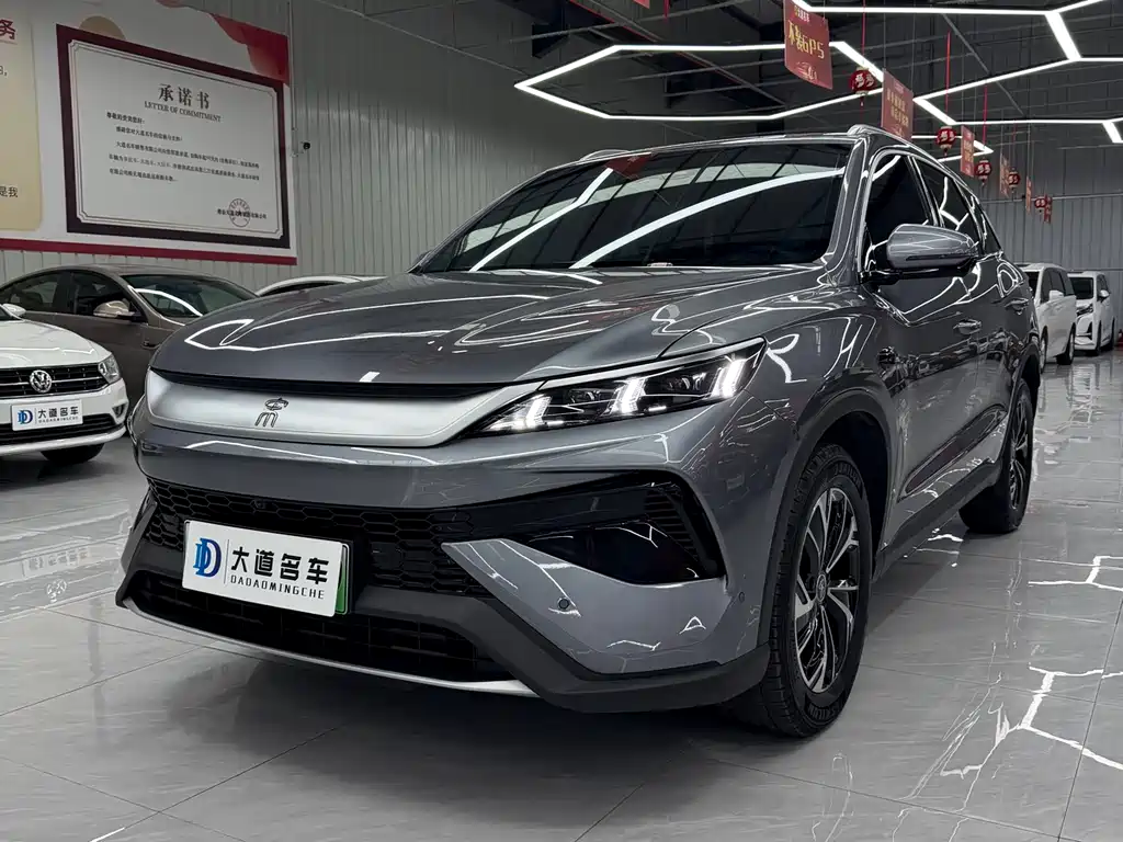 BYD Pro New Energy 2025