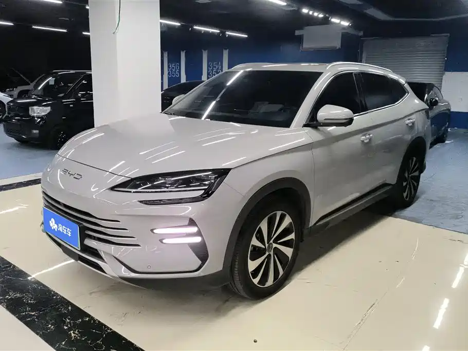 BYD PLUS New Energy 2024