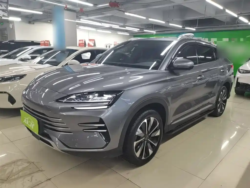 BYD PLUS New Energy 2024