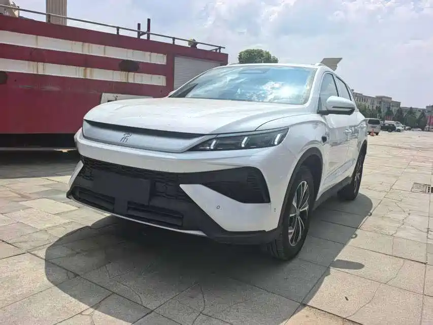 BYD Pro New Energy 2025