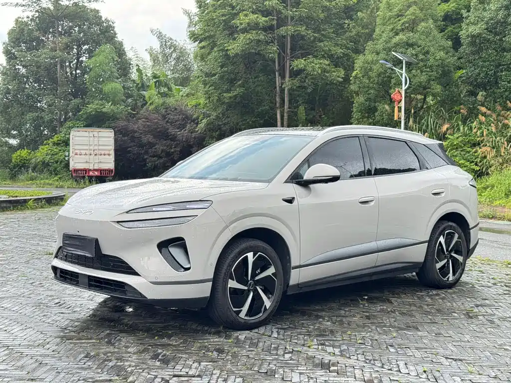 BYD 海狮06 2025