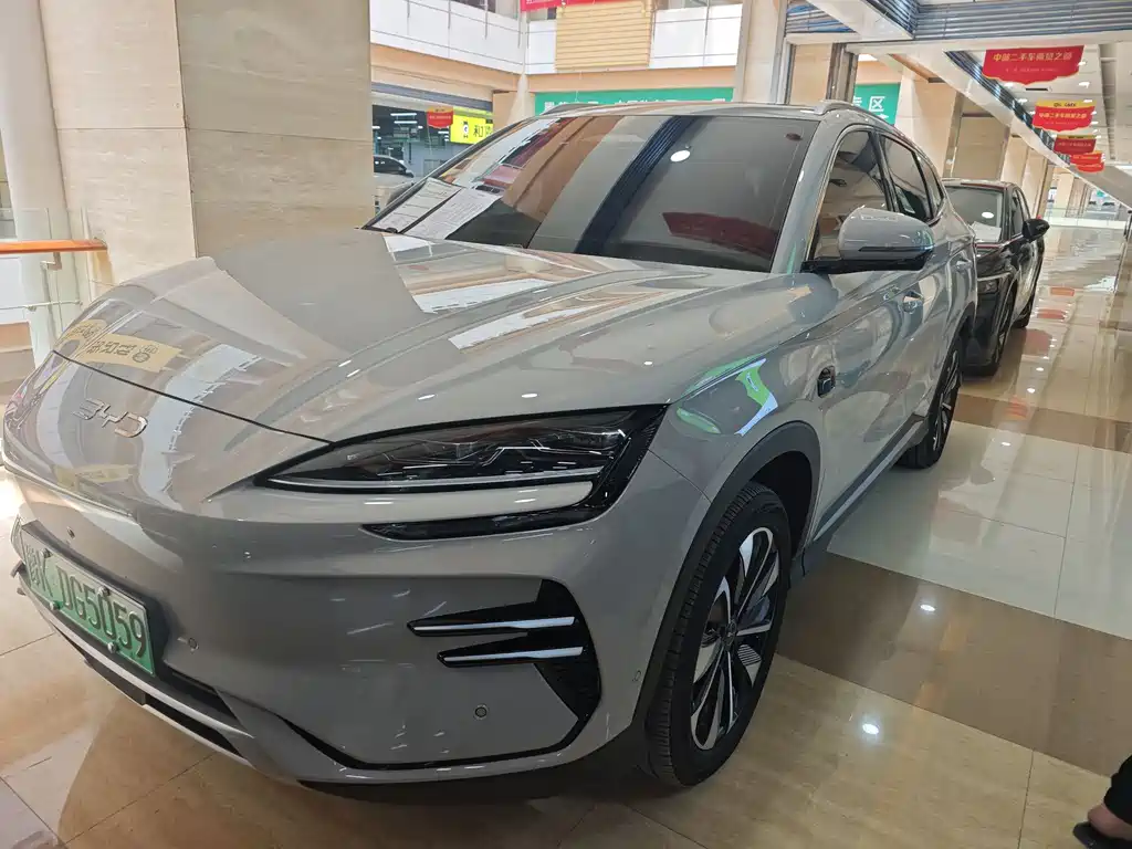 BYD PLUS New Energy 2025