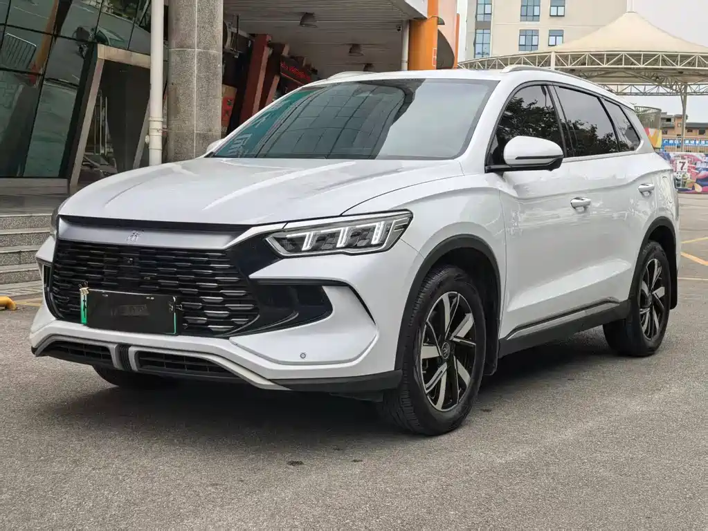 BYD Pro New Energy 2025