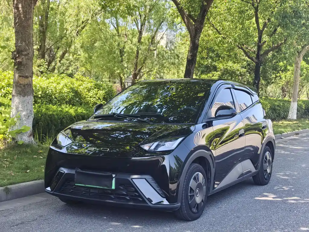 BYD Seagull 2024