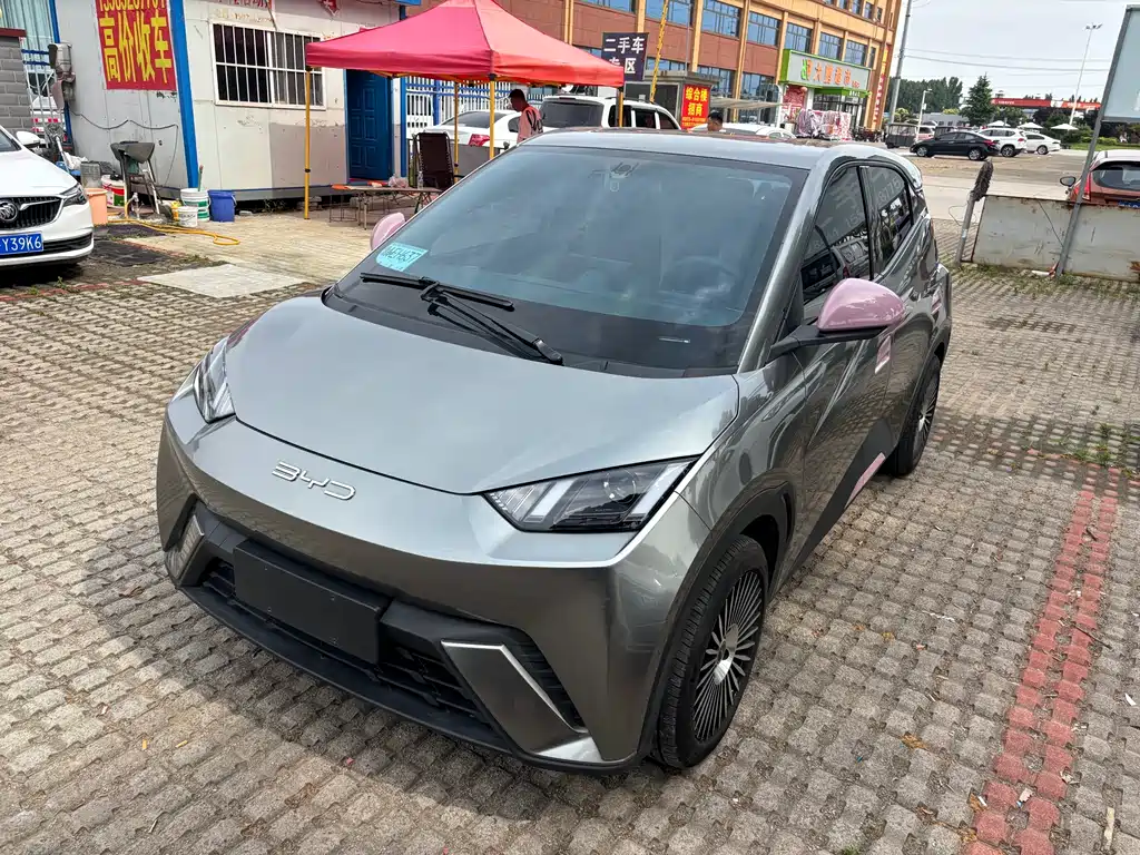 BYD Seagull 2024