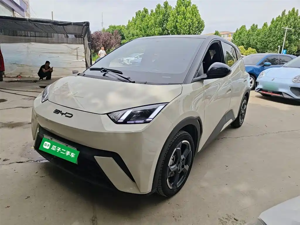 BYD Seagull 2024