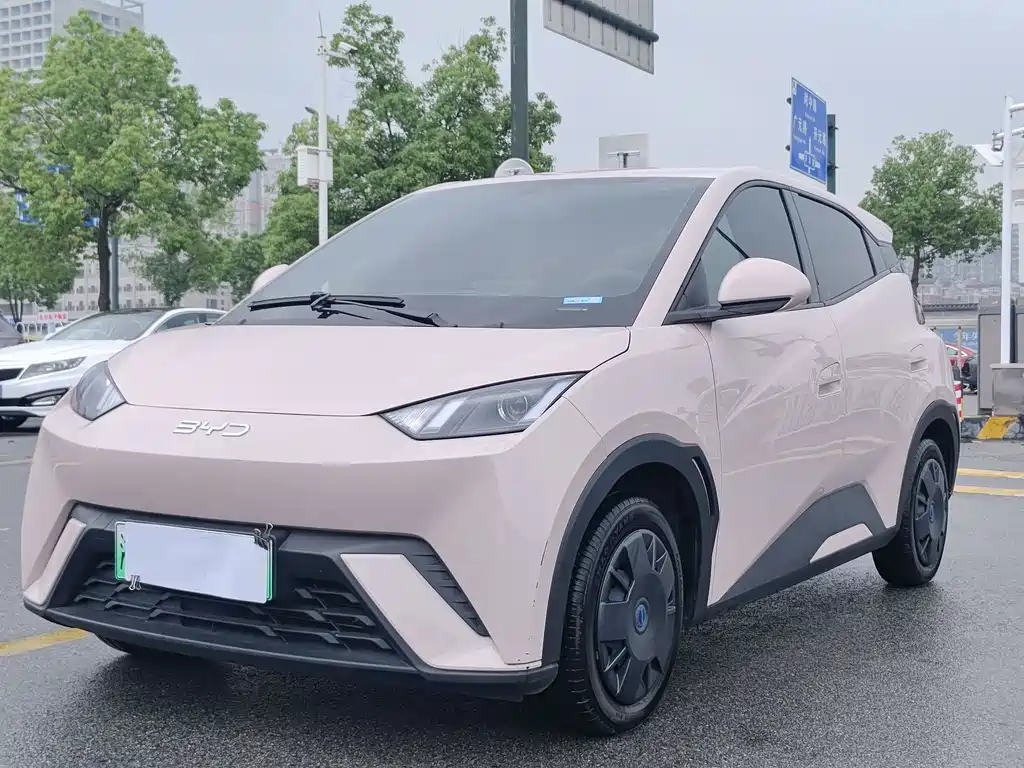 BYD Seagull 2024