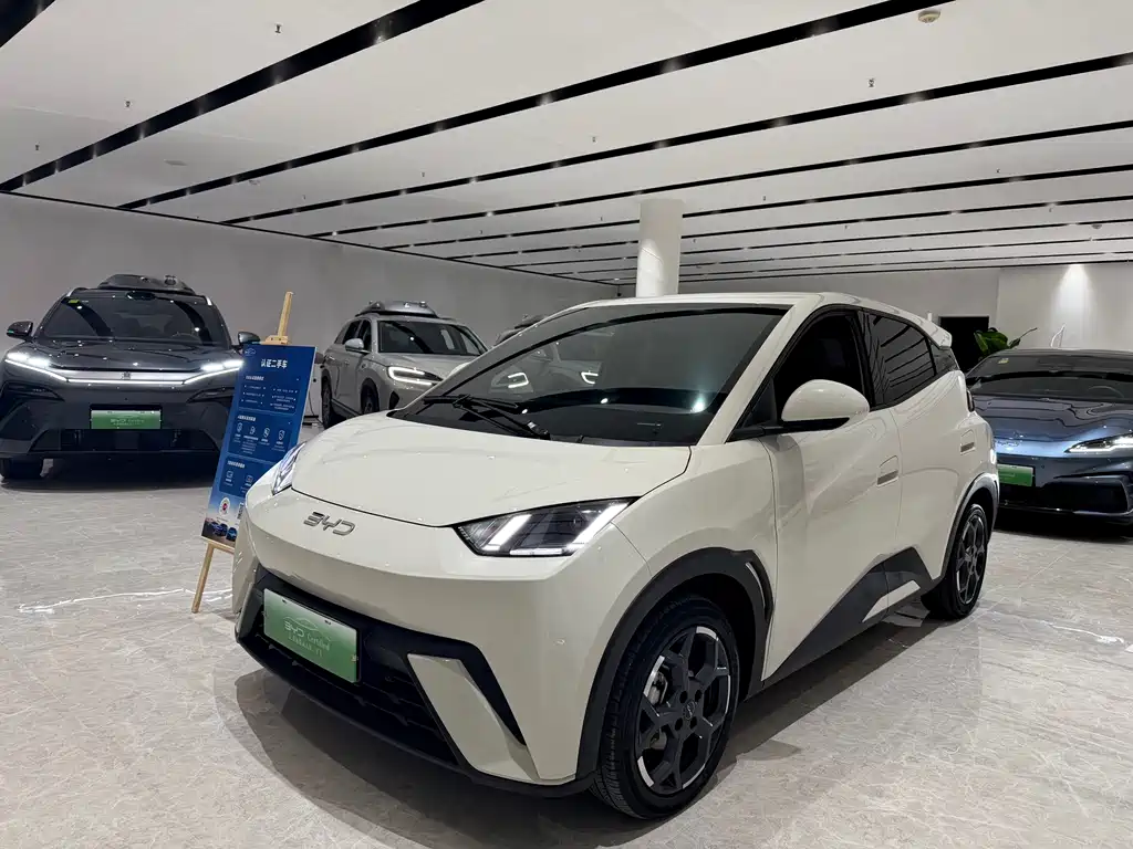 BYD Seagull 2024