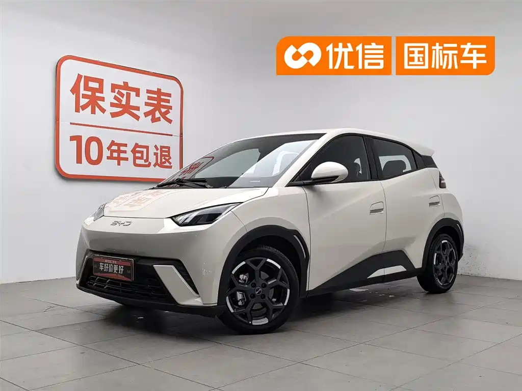 BYD Seagull 2025