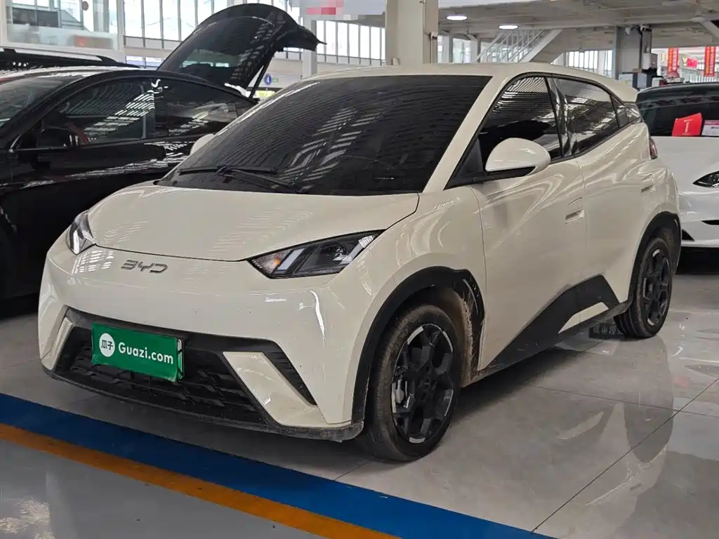 BYD Seagull 2024