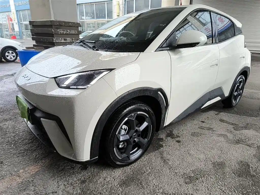 BYD Seagull 2024