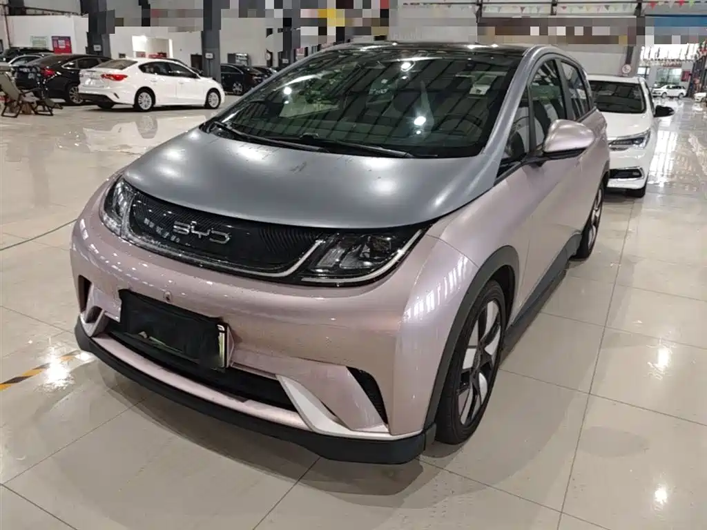BYD Dolphin 2022
