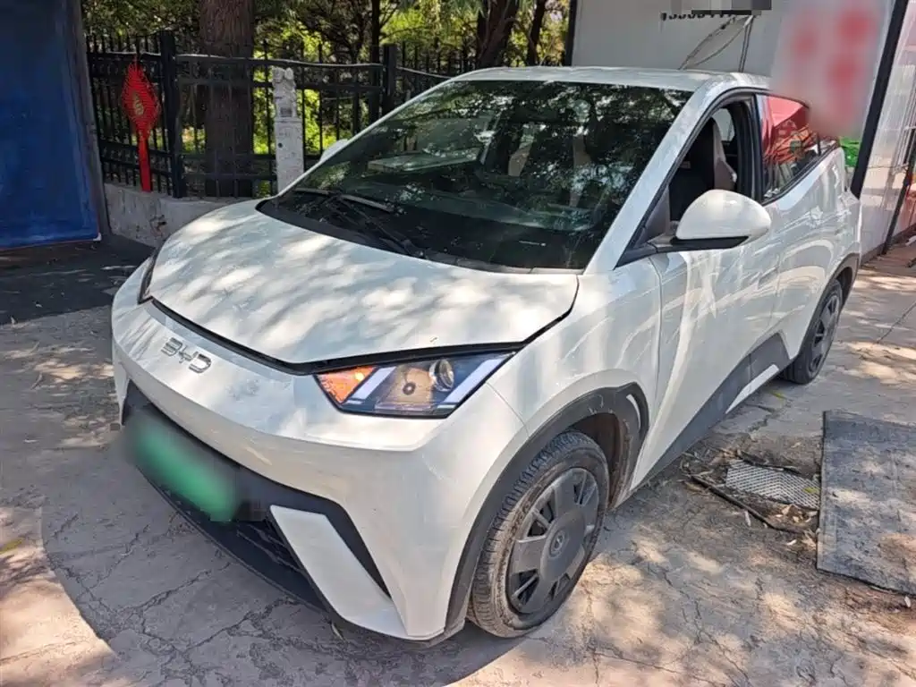 BYD Seagull 2024