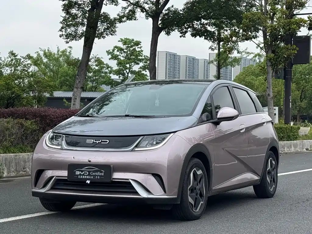 BYD Dolphin 2022
