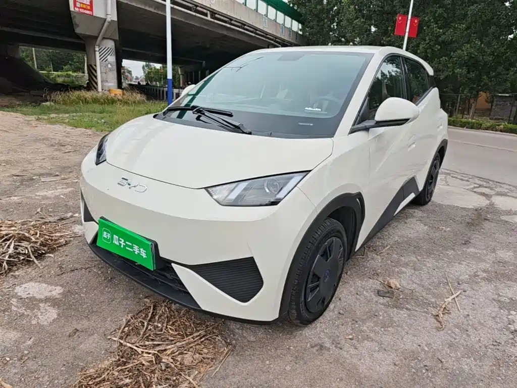 BYD Seagull 2025