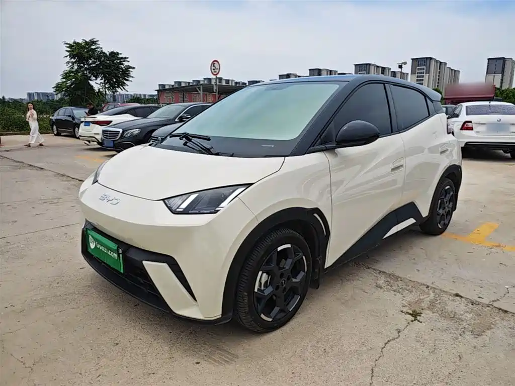BYD Seagull 2025