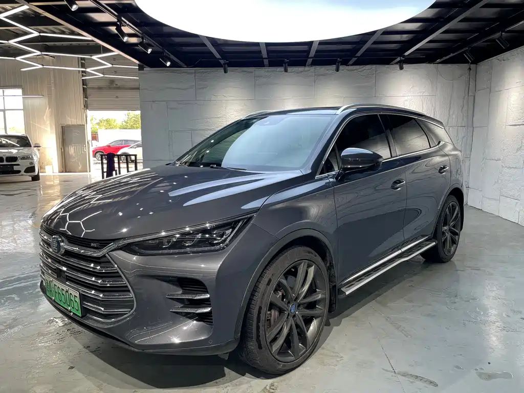 BYD New Energy 2019