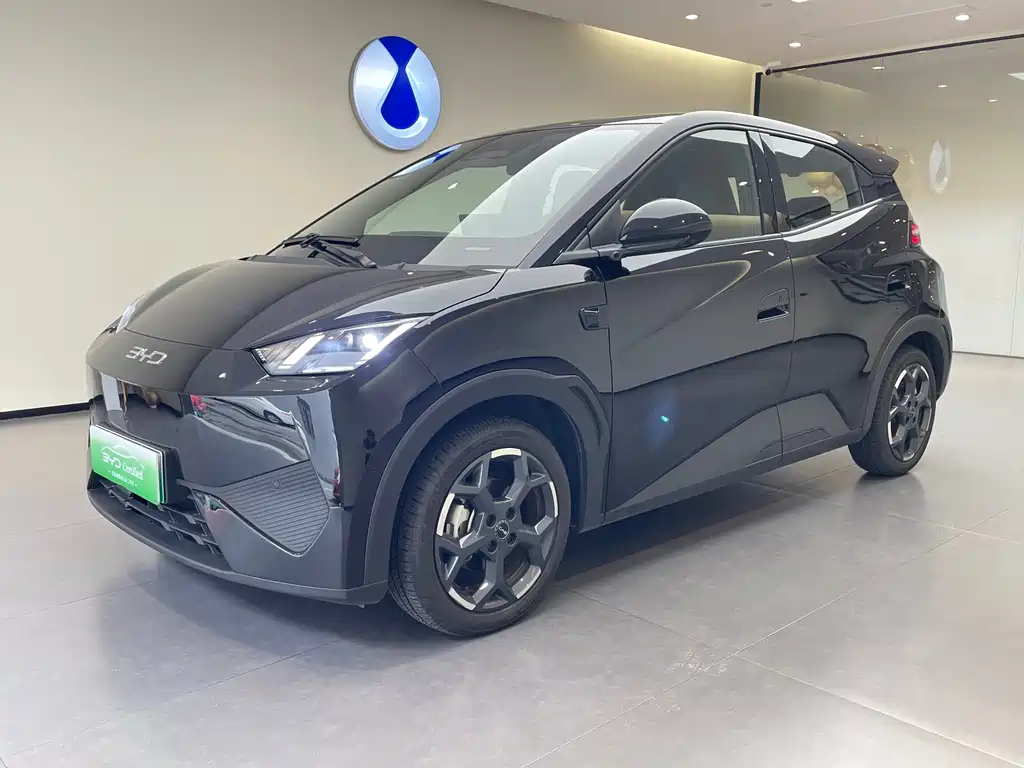 BYD Seagull 2025