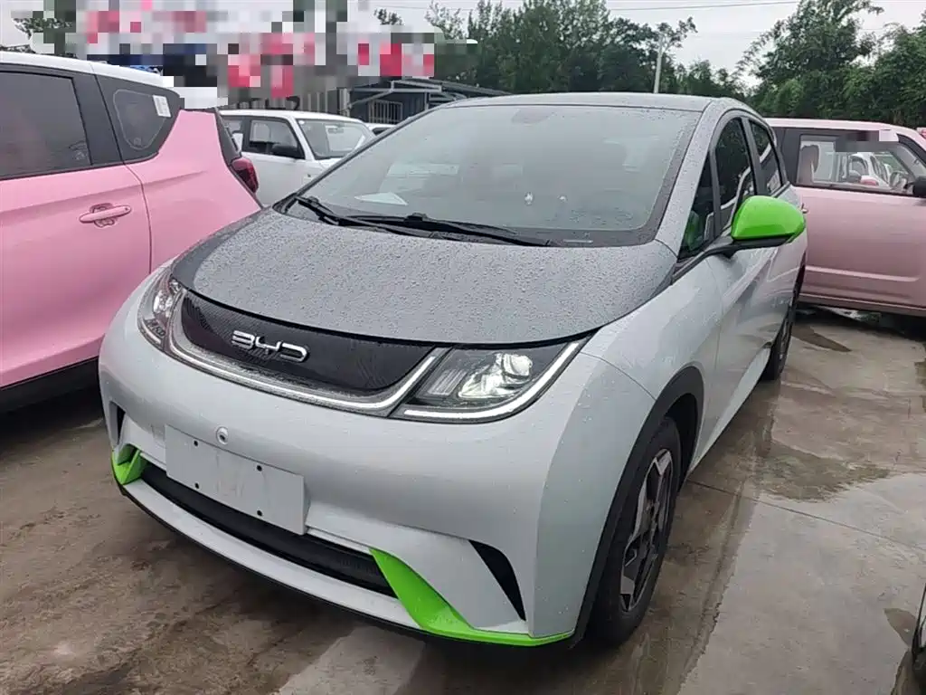 BYD Dolphin 2022