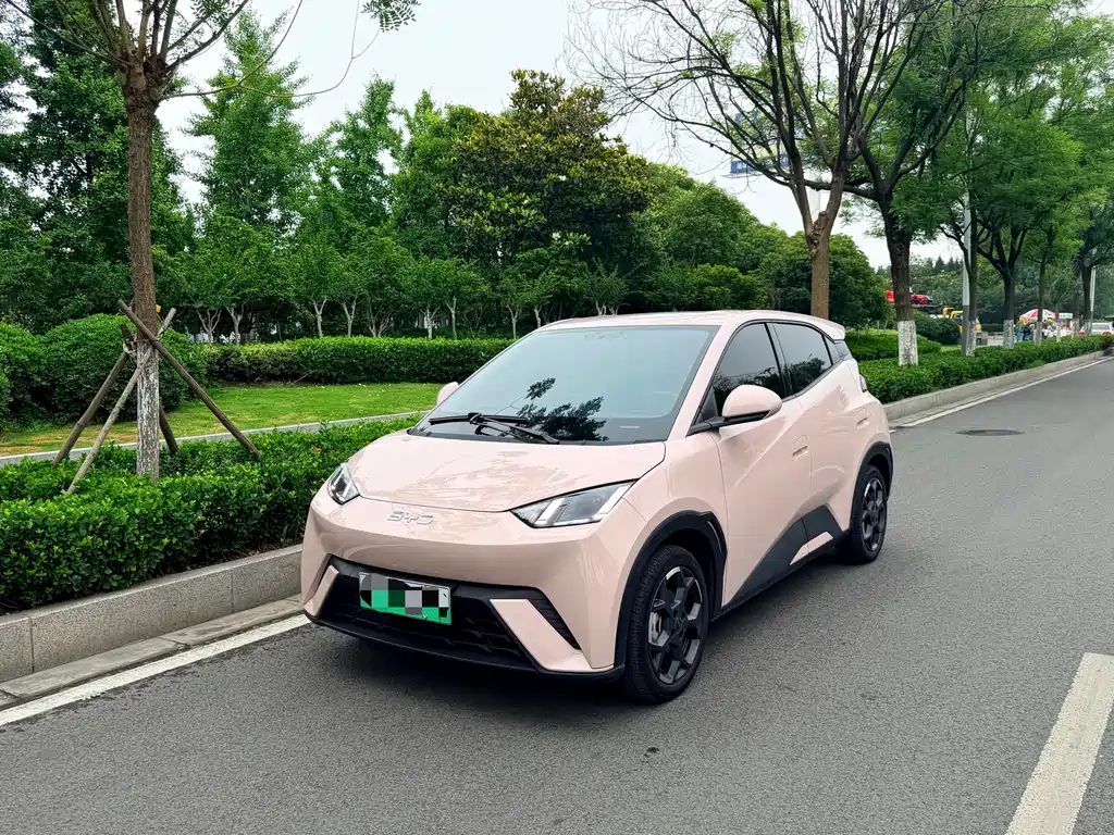 BYD Seagull 2025