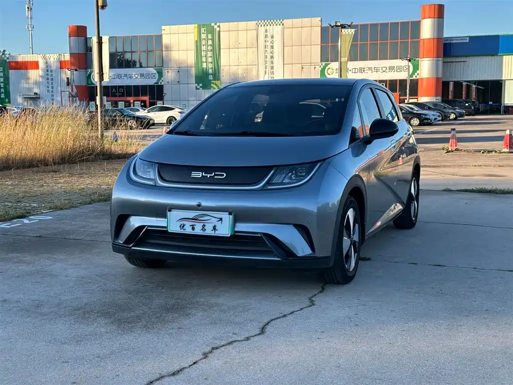 BYD Dolphin 2024