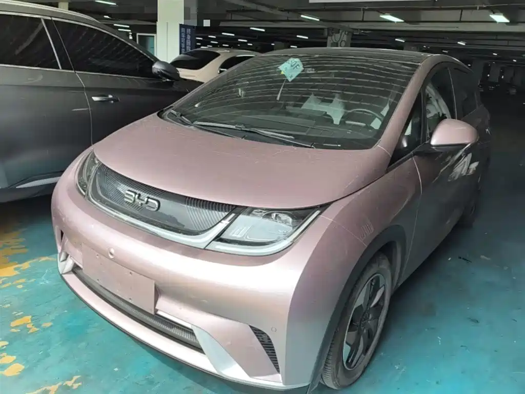 BYD Dolphin 2024