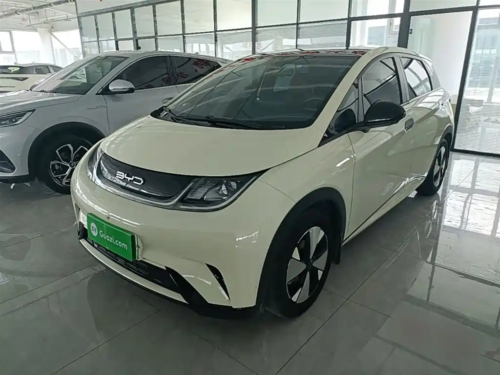 BYD Dolphin 2024