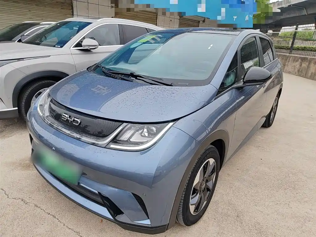 BYD Dolphin 2024